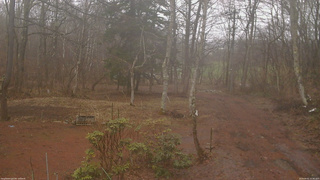 長野県菅平高原 ゆたか山荘 坂上 2026/04/01 15:45