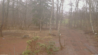長野県菅平高原 ゆたか山荘 坂上 2026/04/01 16:00