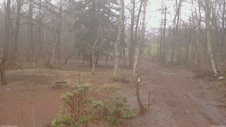 長野県菅平高原 ゆたか山荘 坂上 2026/04/01 16:30