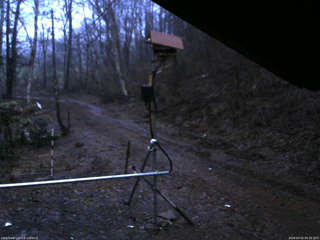 長野県菅平高原 ゆたか山荘 南側 2026/04/02 05:30