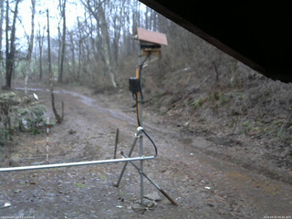 長野県菅平高原 ゆたか山荘 南側 2026/04/02 05:45