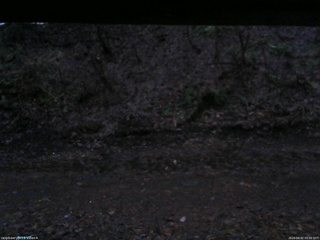 長野県菅平高原 ゆたか山荘 東側(坂下) 2026/04/02 05:30