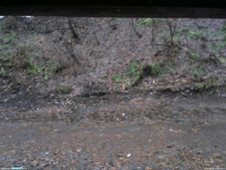 長野県菅平高原 ゆたか山荘 東側(坂下) 2026/04/02 05:45