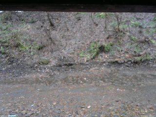 長野県菅平高原 ゆたか山荘 東側(坂下) 2026/04/02 06:00