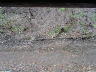 長野県菅平高原 ゆたか山荘 東側(坂下) 2026/04/02 06:15