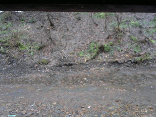 長野県菅平高原 ゆたか山荘 東側(坂下) 2026/04/02 06:30