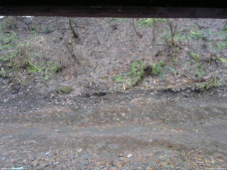 長野県菅平高原 ゆたか山荘 東側(坂下) 2026/04/02 06:45