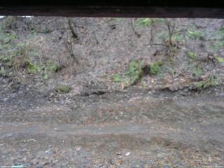 長野県菅平高原 ゆたか山荘 東側(坂下) 2026/04/02 07:00