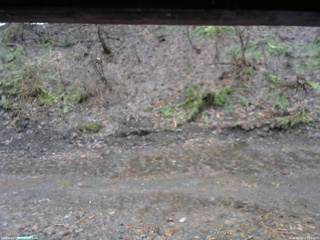 長野県菅平高原 ゆたか山荘 東側(坂下) 2026/04/02 07:15