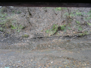 長野県菅平高原 ゆたか山荘 東側(坂下) 2026/04/02 07:30