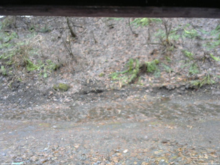 長野県菅平高原 ゆたか山荘 東側(坂下) 2026/04/02 07:45