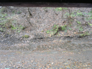 長野県菅平高原 ゆたか山荘 東側(坂下) 2026/04/02 08:15