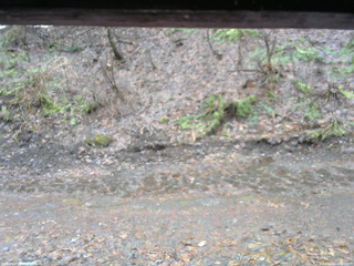 長野県菅平高原 ゆたか山荘 東側(坂下) 2026/04/02 08:30