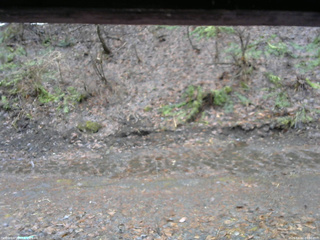 長野県菅平高原 ゆたか山荘 東側(坂下) 2026/04/02 09:00