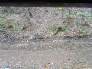 長野県菅平高原 ゆたか山荘 東側(坂下) 2026/04/02 09:15