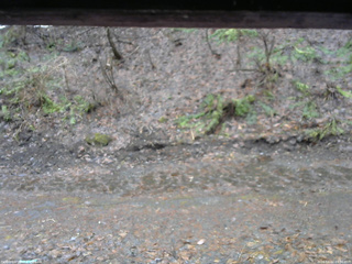 長野県菅平高原 ゆたか山荘 東側(坂下) 2026/04/02 09:30