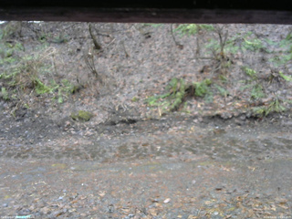 長野県菅平高原 ゆたか山荘 東側(坂下) 2026/04/02 09:45