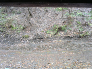 長野県菅平高原 ゆたか山荘 東側(坂下) 2026/04/02 10:00