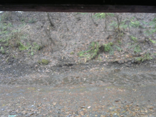 長野県菅平高原 ゆたか山荘 東側(坂下) 2026/04/02 10:15