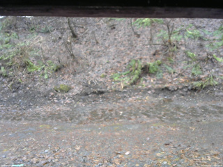 長野県菅平高原 ゆたか山荘 東側(坂下) 2026/04/02 10:30