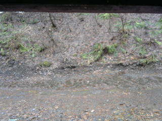 長野県菅平高原 ゆたか山荘 東側(坂下) 2026/04/02 10:45