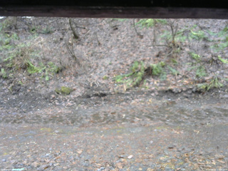 長野県菅平高原 ゆたか山荘 東側(坂下) 2026/04/02 11:00