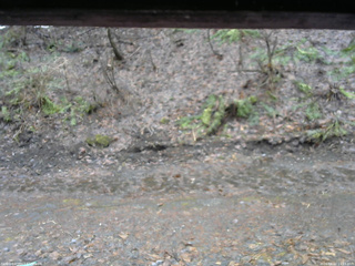 長野県菅平高原 ゆたか山荘 東側(坂下) 2026/04/02 11:15