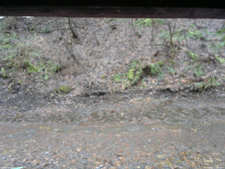 長野県菅平高原 ゆたか山荘 東側(坂下) 2026/04/02 11:30