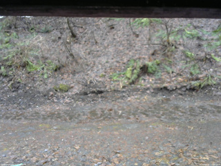 長野県菅平高原 ゆたか山荘 東側(坂下) 2026/04/02 11:45