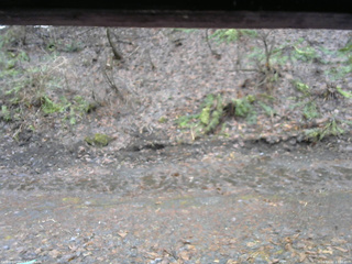 長野県菅平高原 ゆたか山荘 東側(坂下) 2026/04/02 12:00