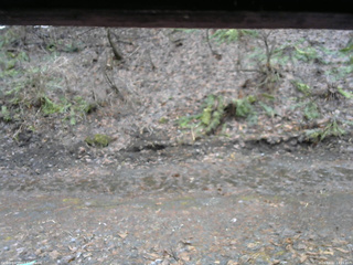 長野県菅平高原 ゆたか山荘 東側(坂下) 2026/04/02 12:15