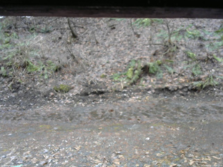 長野県菅平高原 ゆたか山荘 東側(坂下) 2026/04/02 12:30