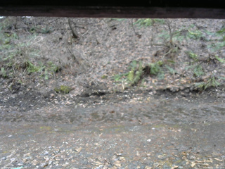 長野県菅平高原 ゆたか山荘 東側(坂下) 2026/04/02 12:45