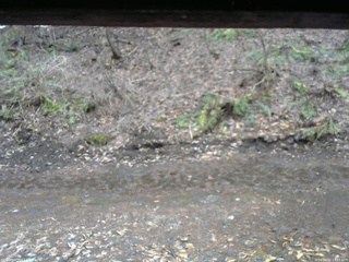 長野県菅平高原 ゆたか山荘 東側(坂下) 2026/04/02 13:15