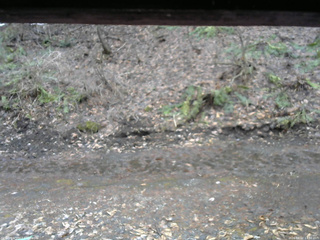 長野県菅平高原 ゆたか山荘 東側(坂下) 2026/04/02 13:30