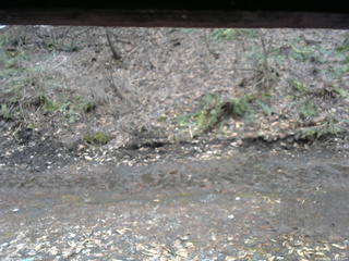 長野県菅平高原 ゆたか山荘 東側(坂下) 2026/04/02 14:15