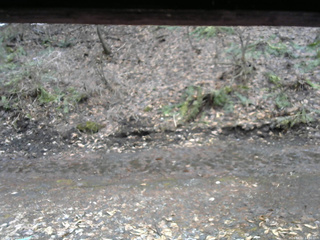 長野県菅平高原 ゆたか山荘 東側(坂下) 2026/04/02 14:30