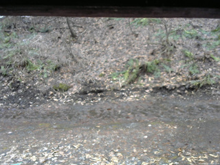 長野県菅平高原 ゆたか山荘 東側(坂下) 2026/04/02 14:45