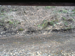 長野県菅平高原 ゆたか山荘 東側(坂下) 2026/04/02 15:15