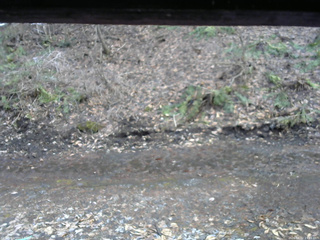 長野県菅平高原 ゆたか山荘 東側(坂下) 2026/04/02 15:45