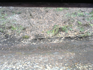 長野県菅平高原 ゆたか山荘 東側(坂下) 2026/04/02 16:00