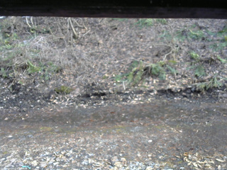 長野県菅平高原 ゆたか山荘 東側(坂下) 2026/04/02 16:15