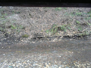 長野県菅平高原 ゆたか山荘 東側(坂下) 2026/04/02 16:30