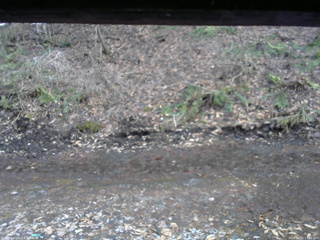 長野県菅平高原 ゆたか山荘 東側(坂下) 2026/04/02 17:00