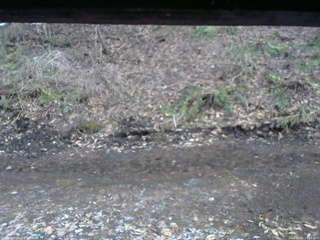 長野県菅平高原 ゆたか山荘 東側(坂下) 2026/04/02 17:15