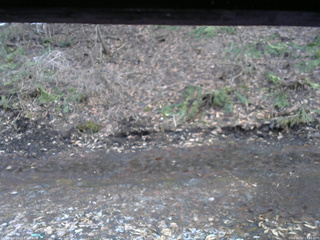 長野県菅平高原 ゆたか山荘 東側(坂下) 2026/04/02 17:45