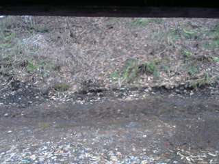 長野県菅平高原 ゆたか山荘 東側(坂下) 2026/04/02 18:00