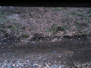 長野県菅平高原 ゆたか山荘 東側(坂下) 2026/04/02 18:15