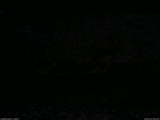 長野県菅平高原 ゆたか山荘 東側(坂下) 2026/04/02 18:30