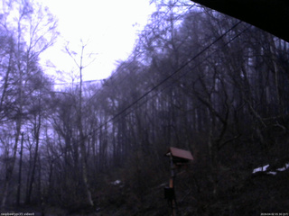 長野県菅平高原 ゆたか山荘 温度計 2026/04/02 05:30